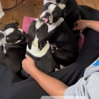 くっついて暖を取っています♪