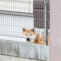 自分の時間、たいせつ！