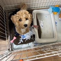 成長中のたむ君3