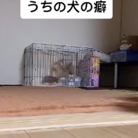 現実逃避かな？