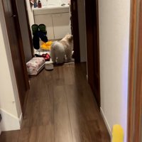 ふたりを見に行くママ