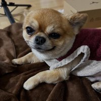 「涼しいからいいか」