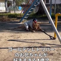 ぎゅーする息子さん