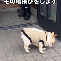 何度も何度もピョンッ