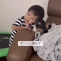 犬に顔をぴったり寄せる子ども