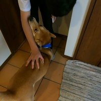 お兄ちゃんが帰宅すると大喜び♪