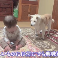 なんだかソワソワ