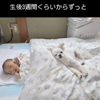ずっと一緒にいます
