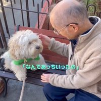 犬とおじいさん