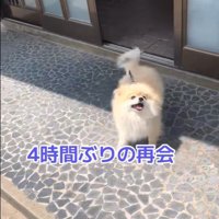 ますお君の熱烈歓迎5