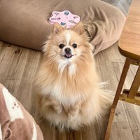 「ヒマそうだね？遊ぼう♪」