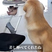こてつくんと赤ちゃん