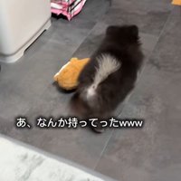 お友達を連れて行くことに