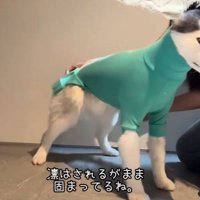 固まっている凛ちゃん