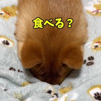 魔法の言葉を言うママ