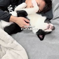 数ヶ月後のルークくんと旦那さん3