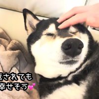 構ってもらえて幸せそう♪