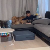 タオルを奪う息子さん