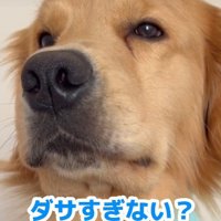 素直すぎる姿にホッコリ