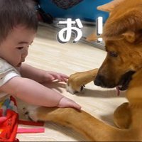 そらちゃんと赤ちゃん7