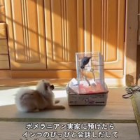 見つめあう2人
