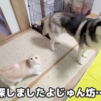 「一体どこにいたの…？」「内緒♪」