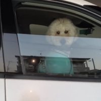 ドアを開けようとする人