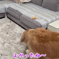 大盛り上がりの3兄妹でした