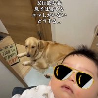 座る犬と赤ちゃん
