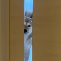「もう行っちゃうの？」