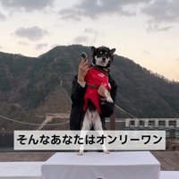 ナンバーワンではなく、オンリーワン！