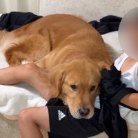 一緒にベッドの端に移動する犬