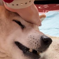 「上手い」と頭をナデナデ…