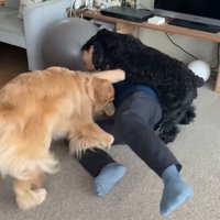 ついに押し倒されてしまいました（笑）