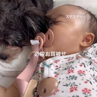 マロンちゃんと赤ちゃん5