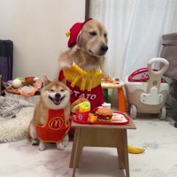 もう一度ハンバーガーショップへ♪