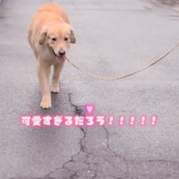 ママに駆け寄るメルくん