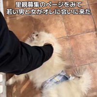 木ノ葉丸くんとの出会い3