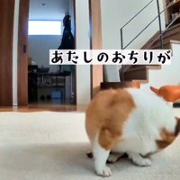 ここから鳴った…？