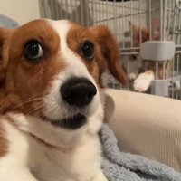 「今の見た！？」