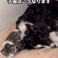 幸せそうな寝顔