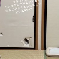 手が見えている凛くん