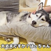 落ち着いた表情に…
