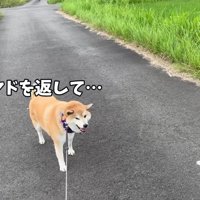 「カートに乗りたい…」