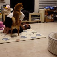 「やめて！！」