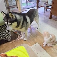 微笑ましい一幕でした