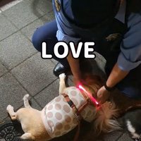 「まだ離れたくない♡」