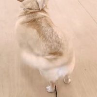 徐々に疲れが…