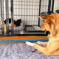 「ちゃんとそばにいるからね」
