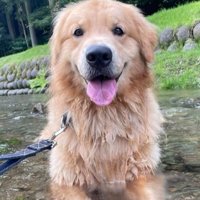 かーる君の成長記録7
